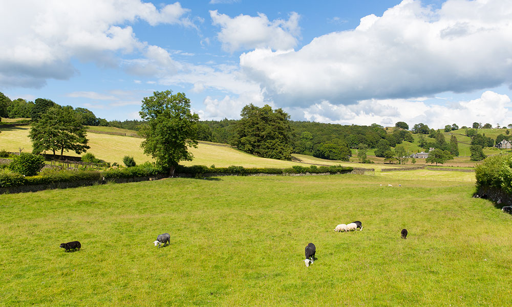 Near Sawley in the Lake District&nbsp;